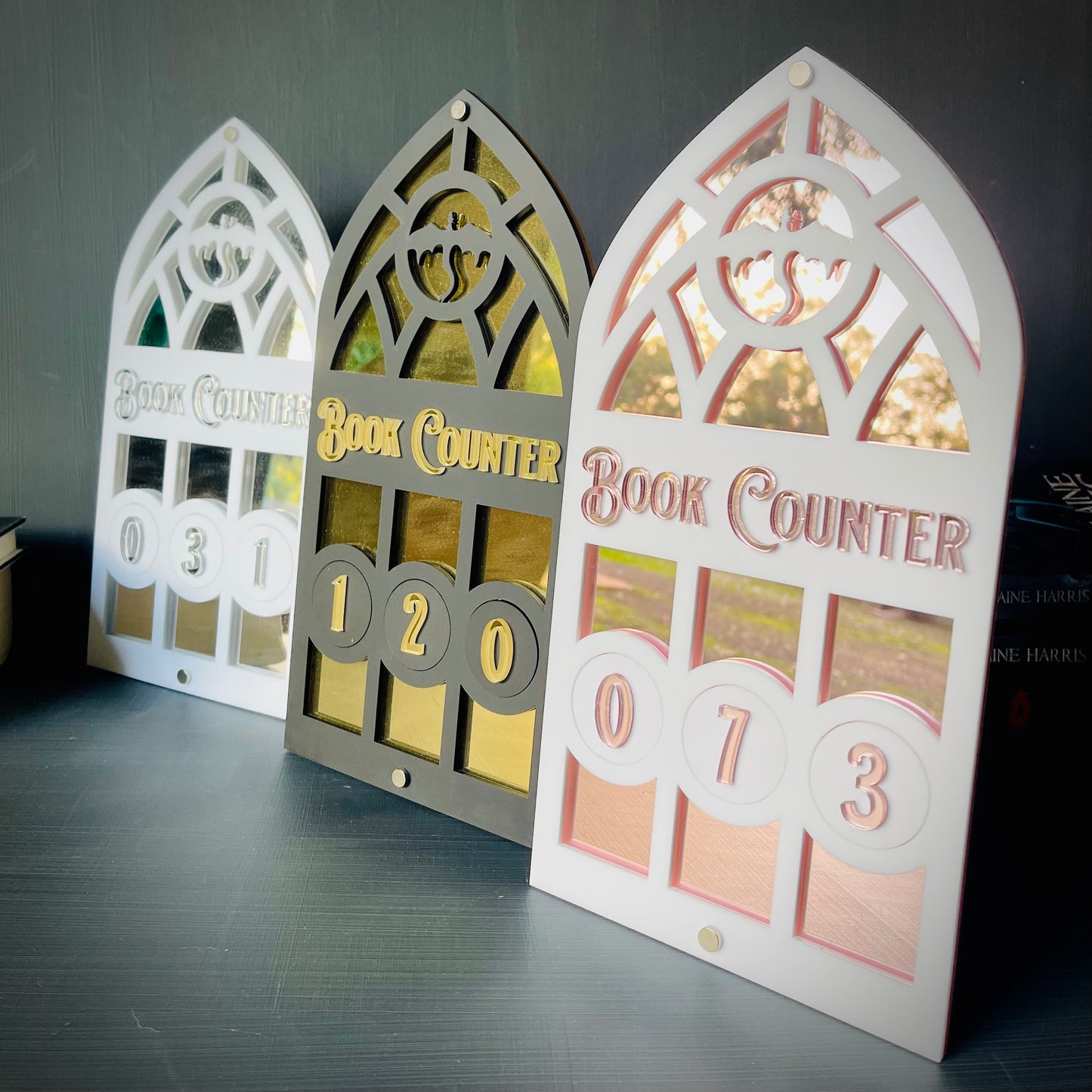 Dragon Book Tracker | Fantasy Book Counter | Romantasy Decor