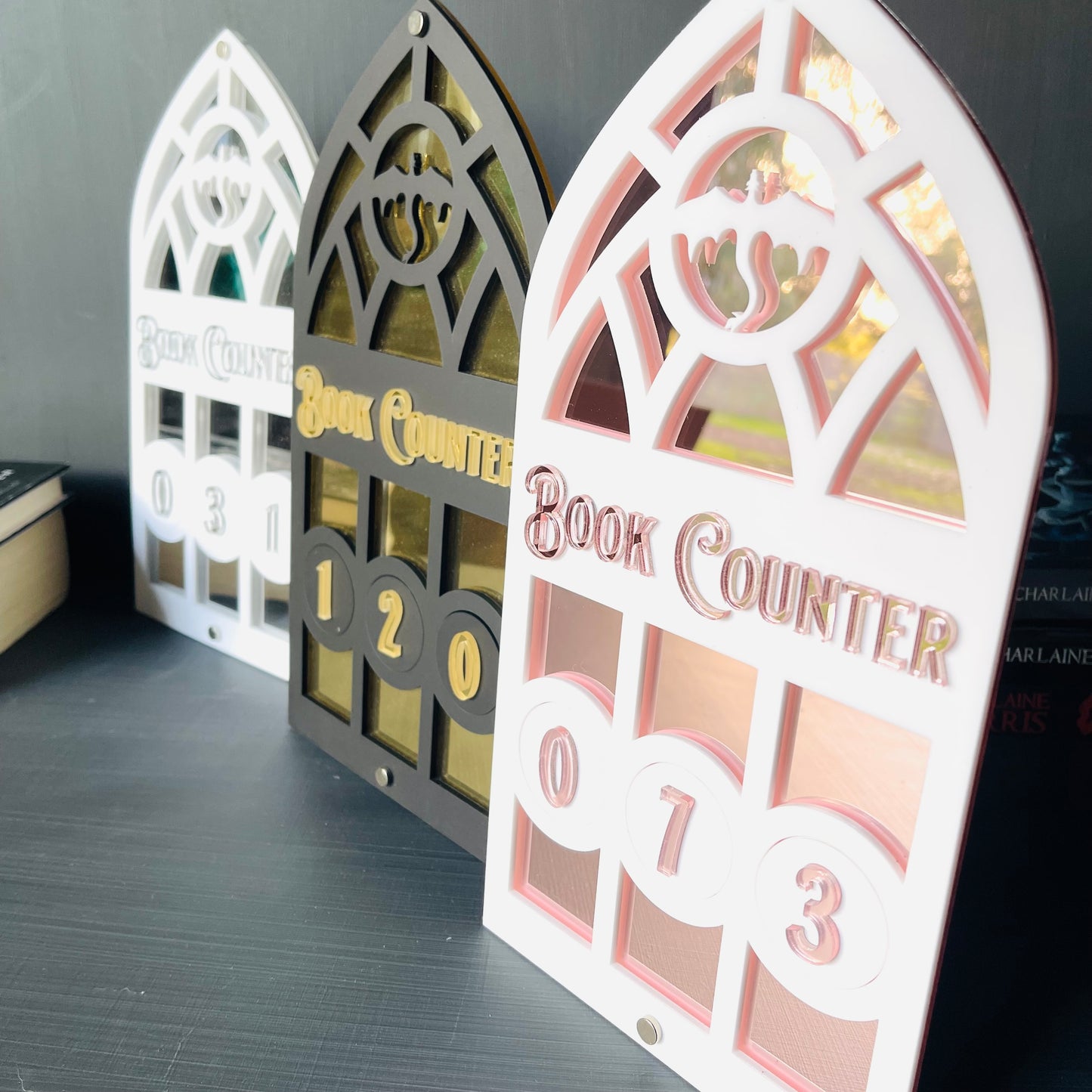 Dragon Book Tracker | Fantasy Book Counter | Romantasy Decor