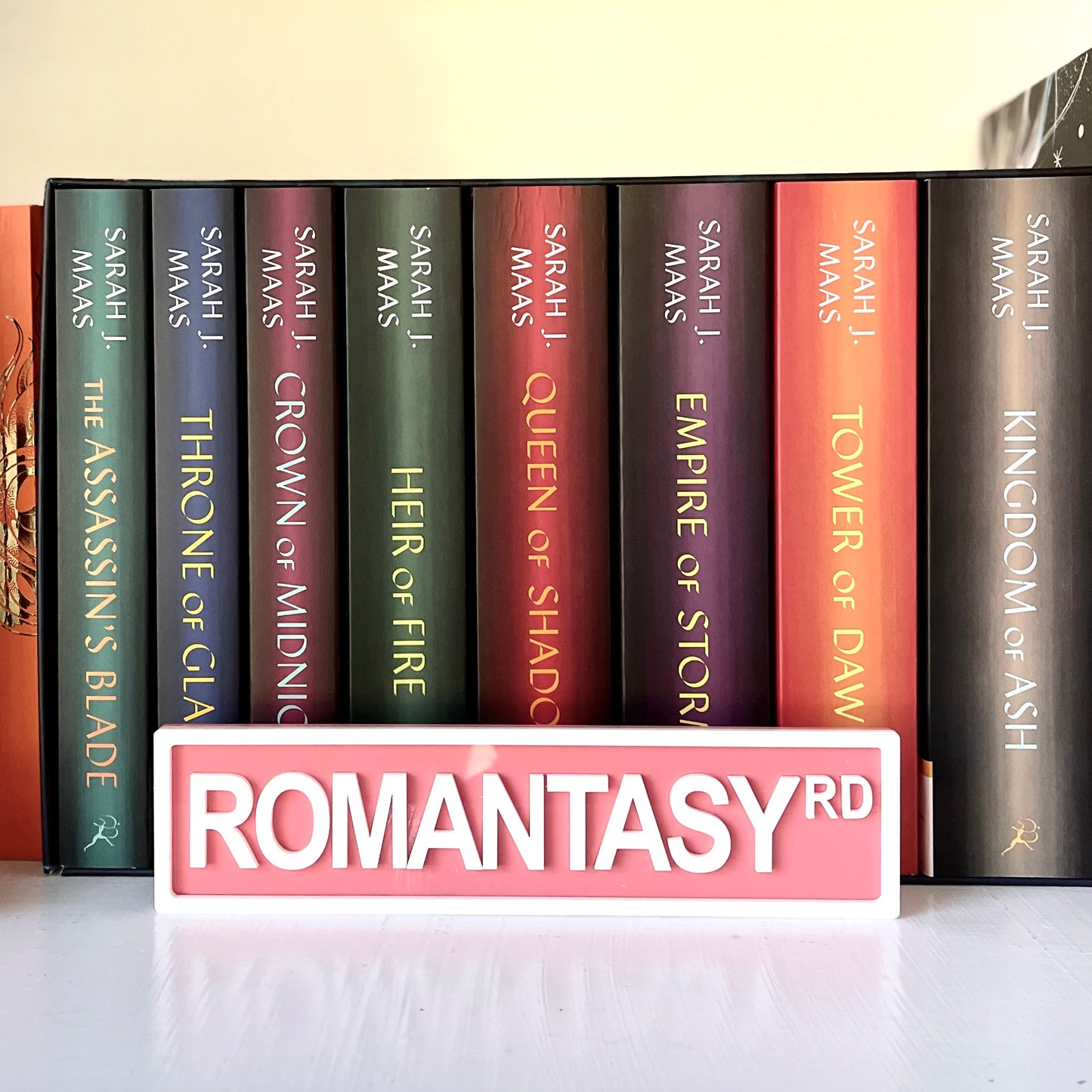 Bookish Street Signs | Acrylic Genre & Trope Labels for Bookshelves