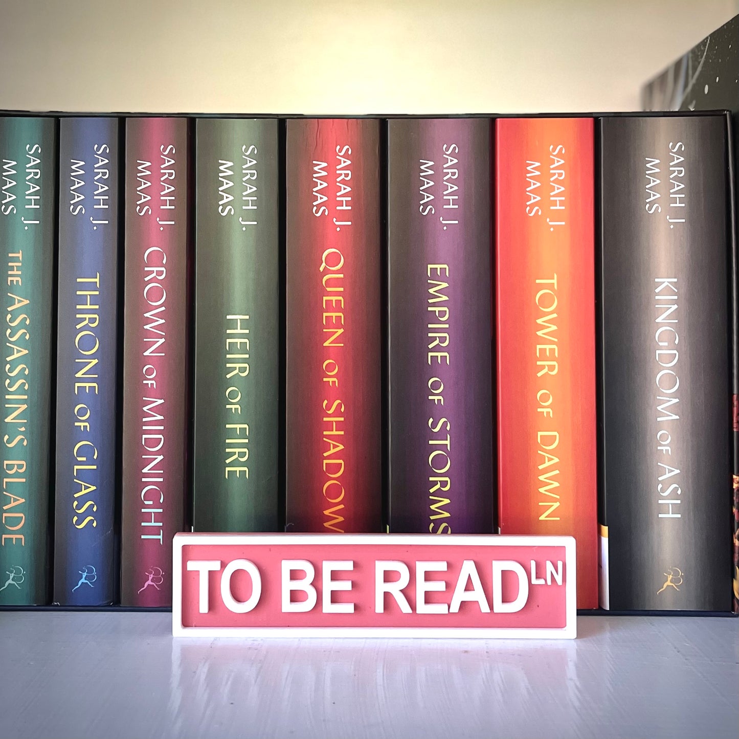 Bookish Street Signs | Acrylic Genre & Trope Labels for Bookshelves