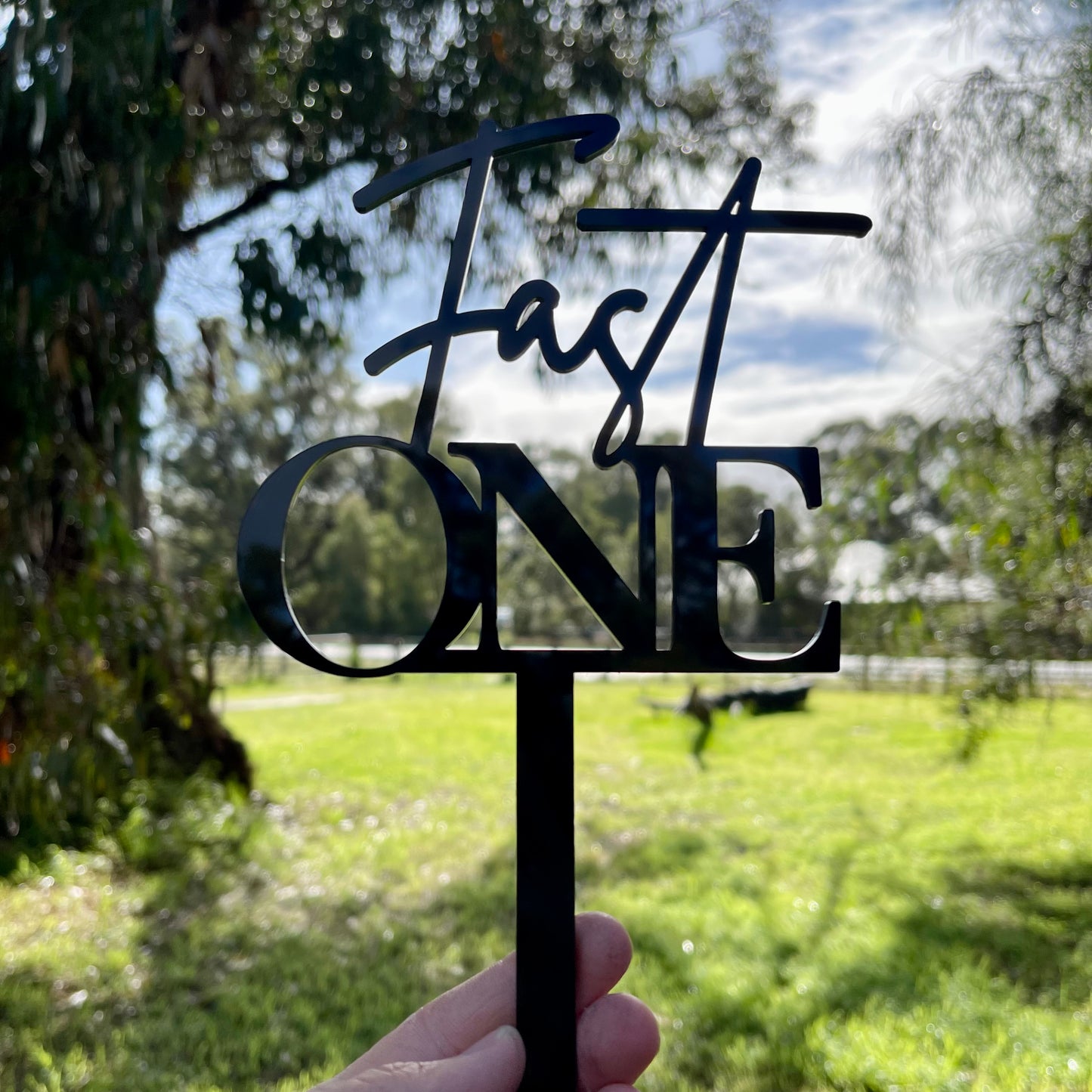 Cake Topper | Fast One