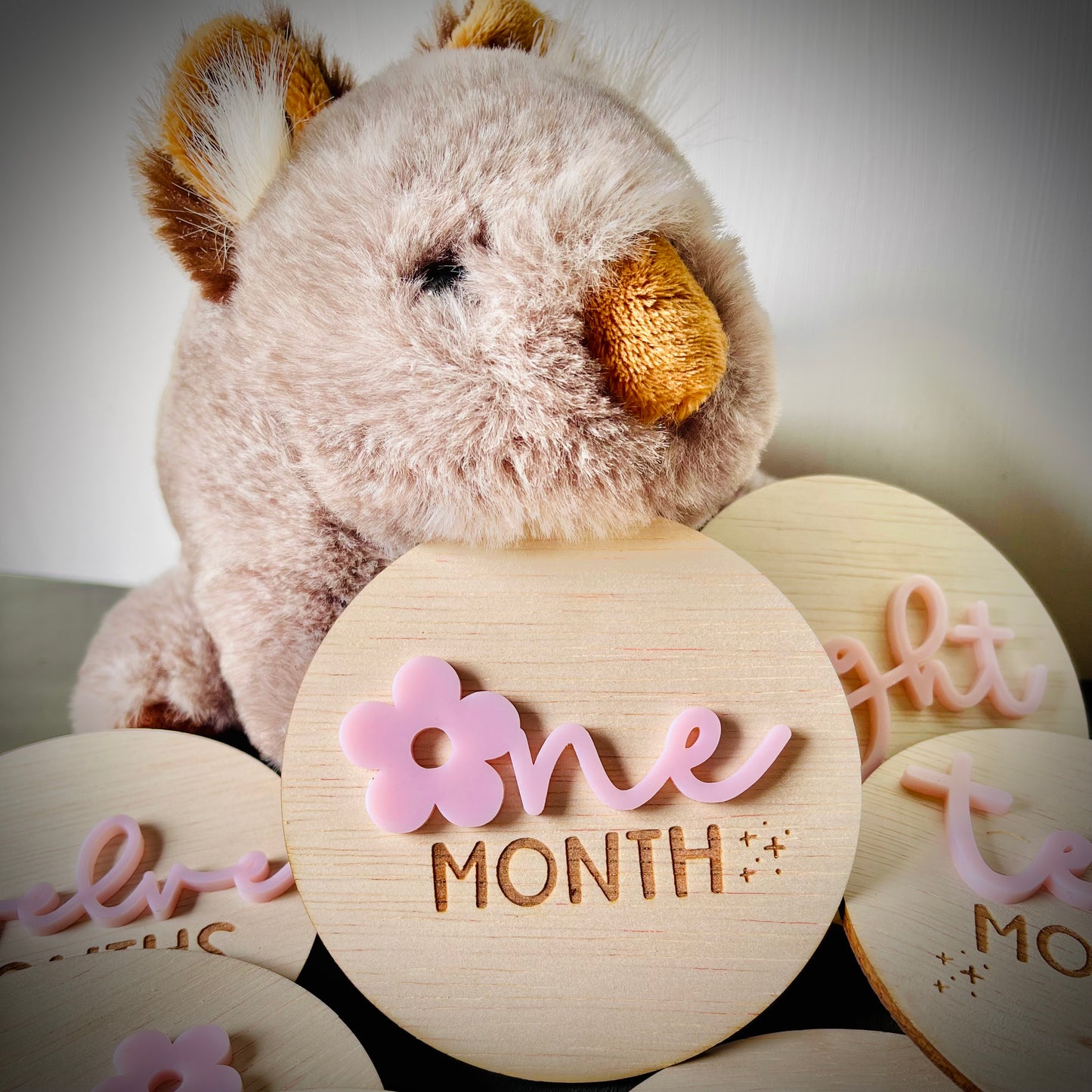 Baby Essentials | Daisy Milestone Discs