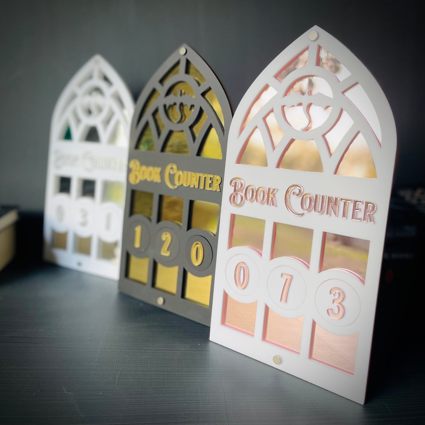 Dragon Book Tracker | Fantasy Book Counter | Romantasy Decor