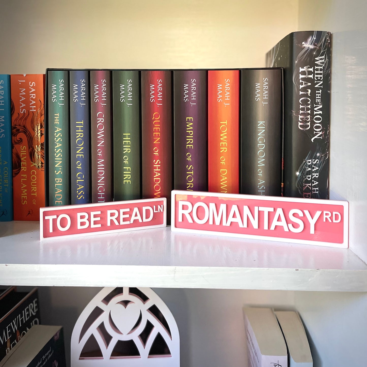 Bookish Street Signs | Acrylic Genre & Trope Labels for Bookshelves