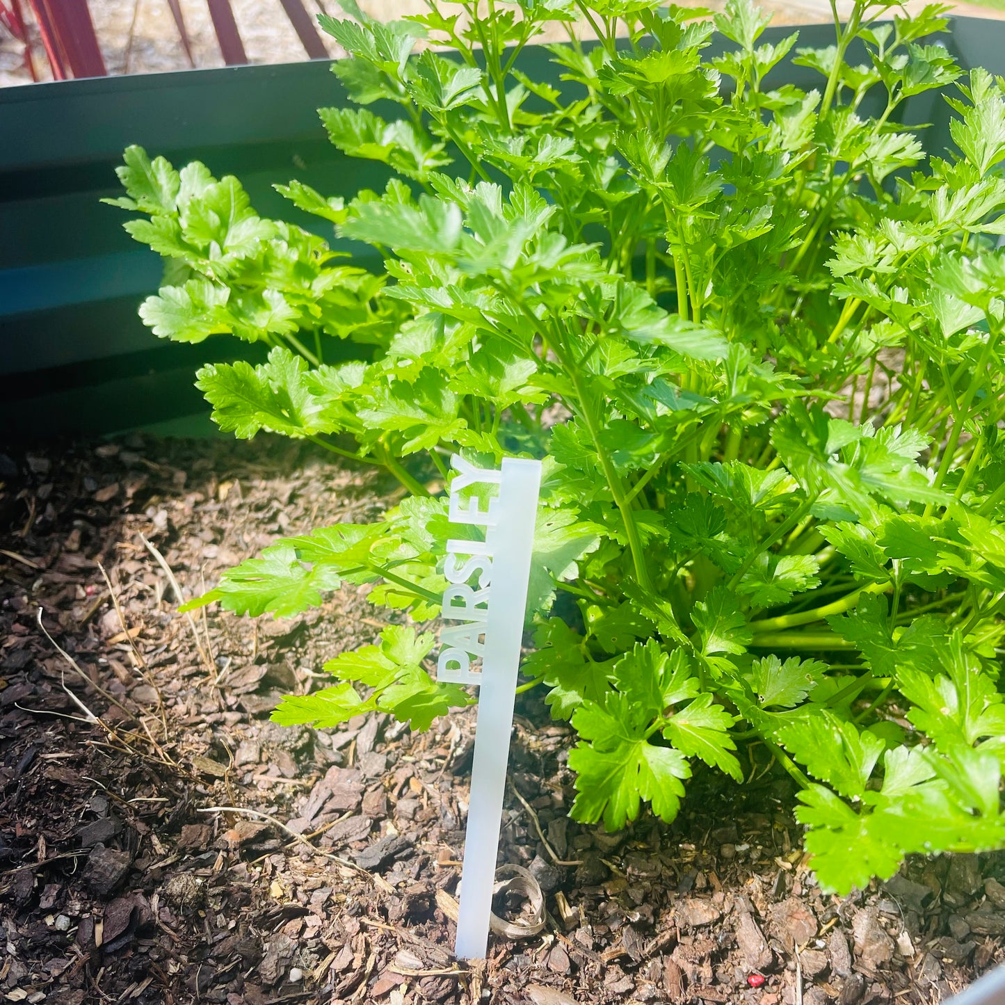 Garden Gifts| Herb Markers