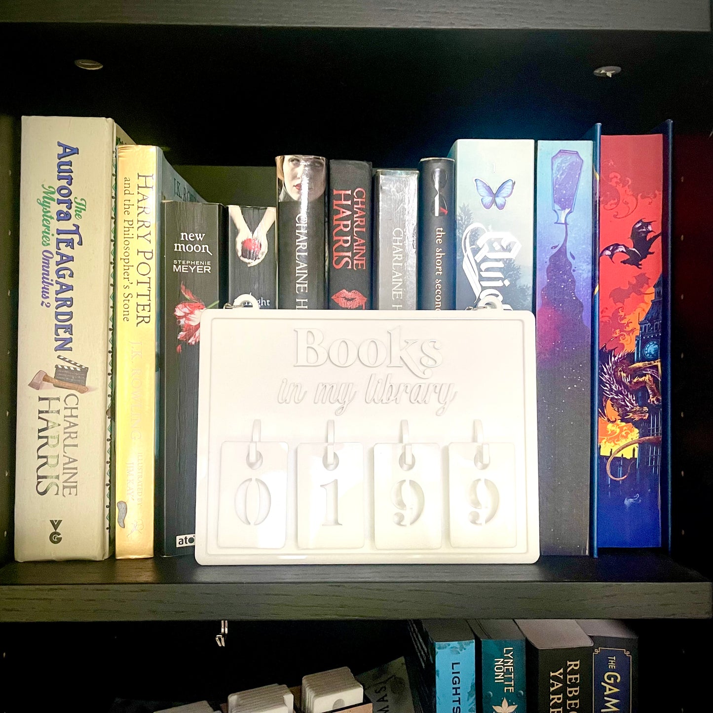 Book Tracker 1000 | Personalised Hanging Book Tracker with Number Hooks | Home Library Book Count Sign