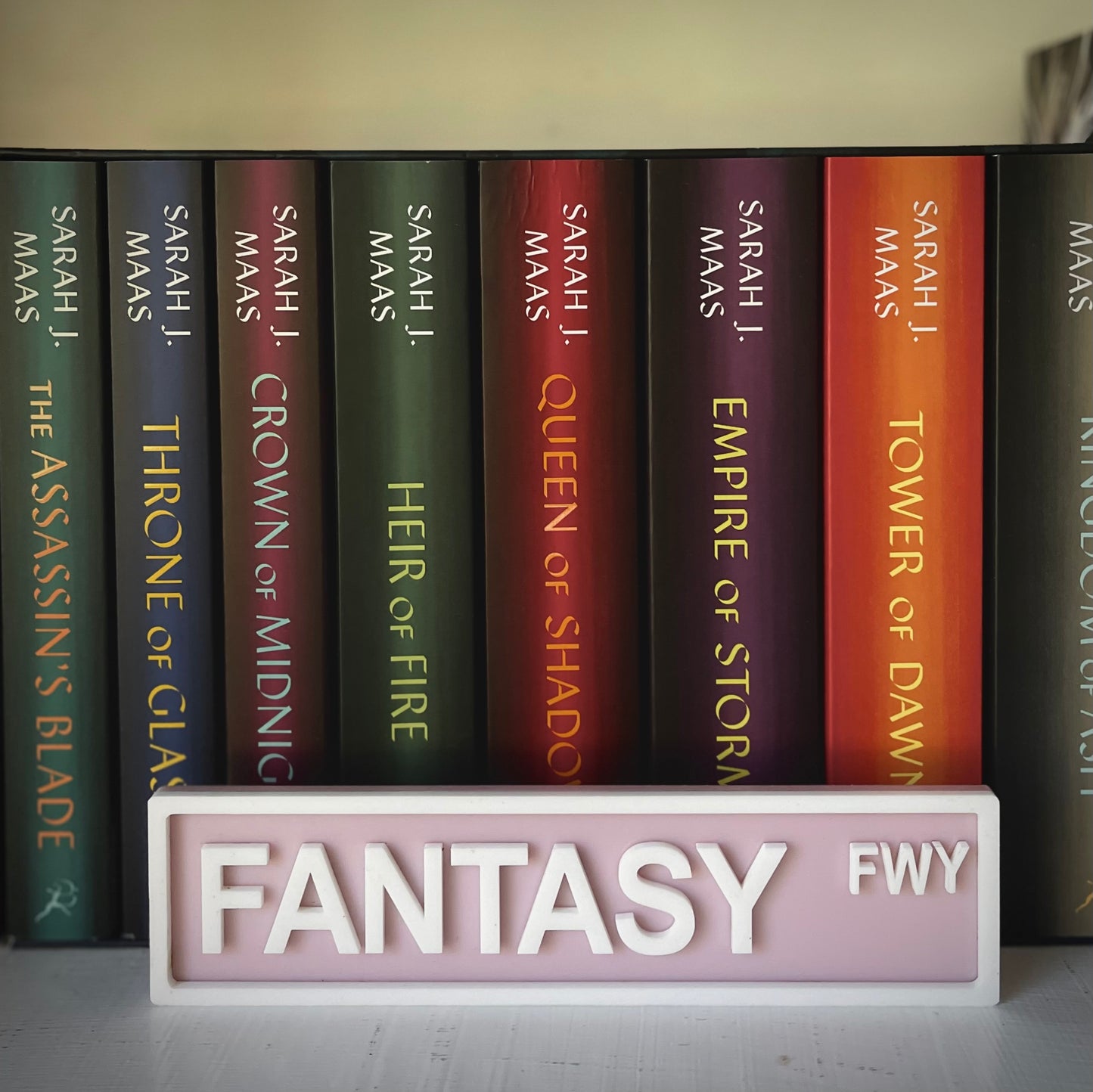 Bookish Street Signs | Acrylic Genre & Trope Labels for Bookshelves