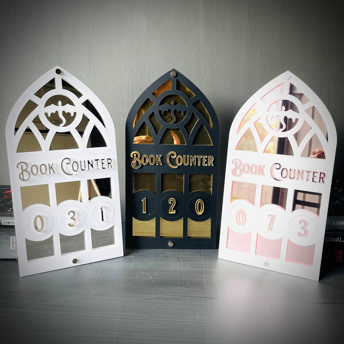 Dragon Book Tracker | Fantasy Book Counter | Romantasy Decor