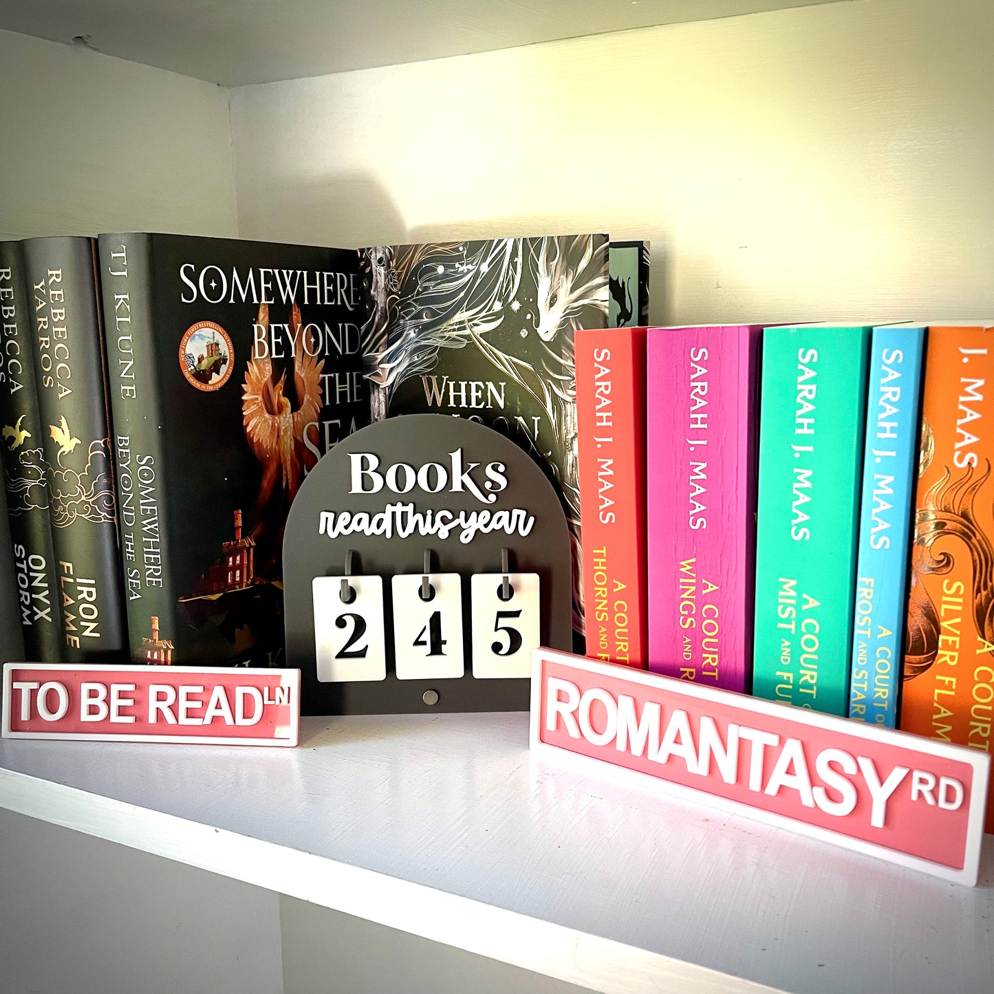 Bookish Street Signs | Acrylic Genre & Trope Labels for Bookshelves