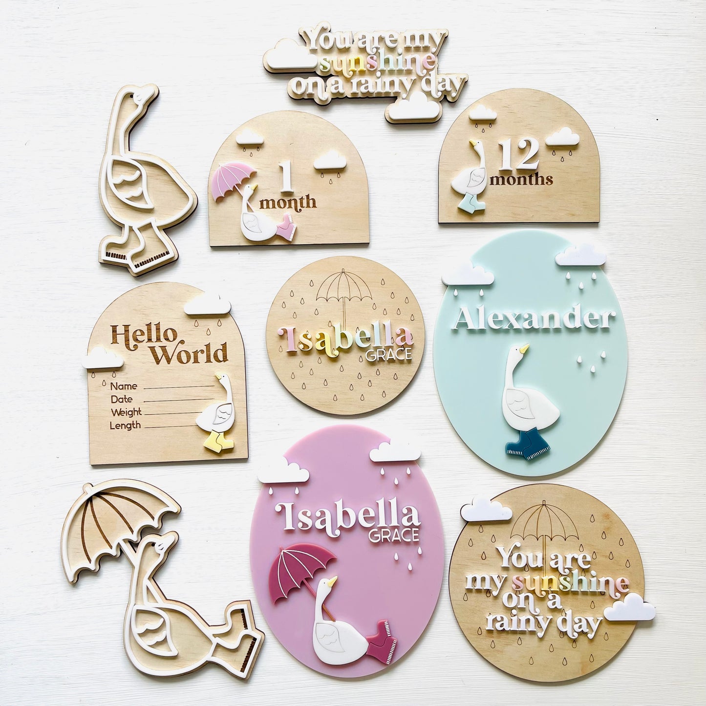 Kids & Babies l Little Goose Collection l Milestone Discs