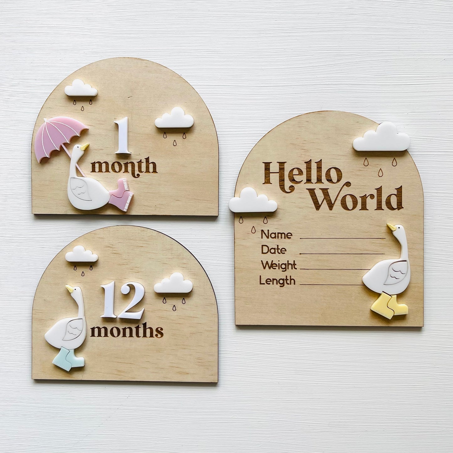 Kids & Babies l Little Goose Collection l Milestone Discs