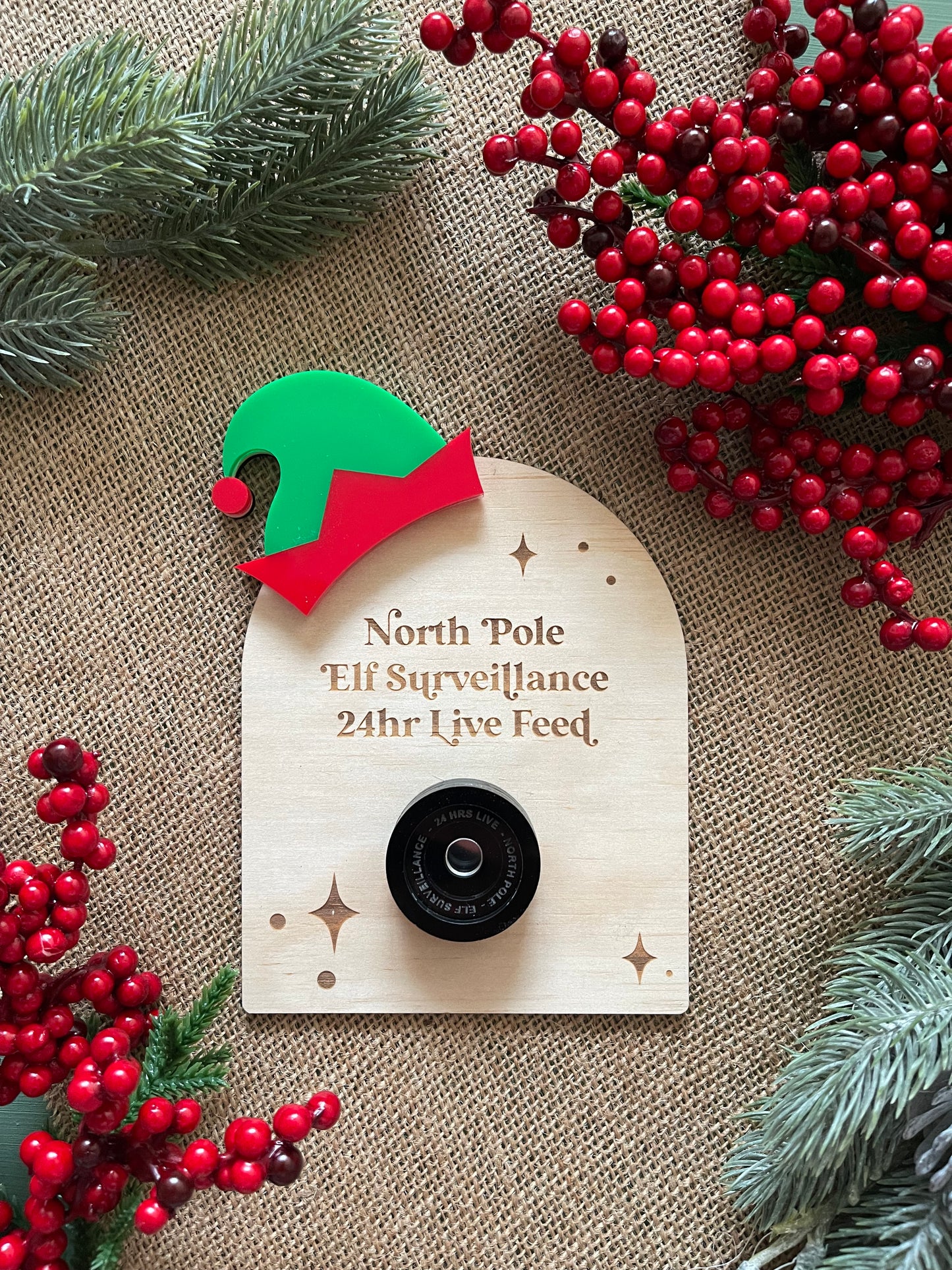 Christmas | Elf Surveillance Camera