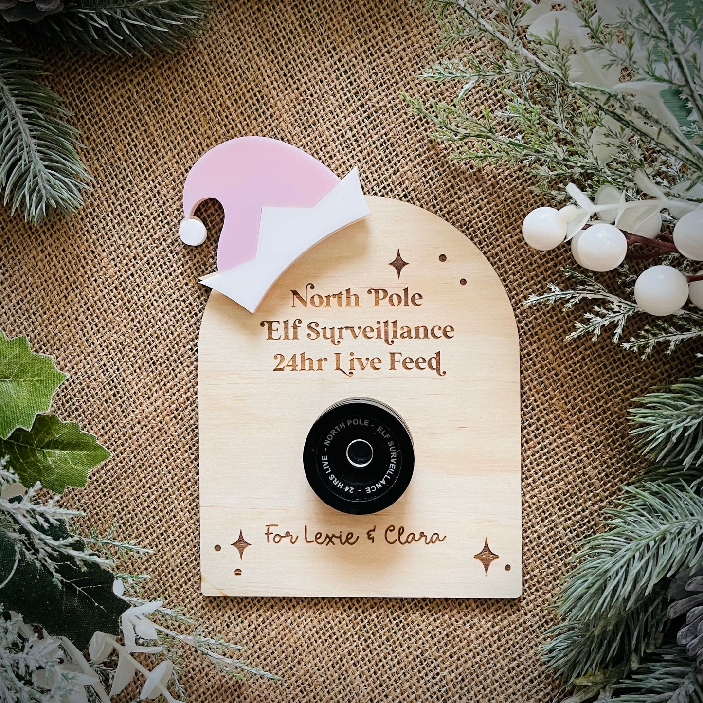 Christmas | Elf Surveillance Camera