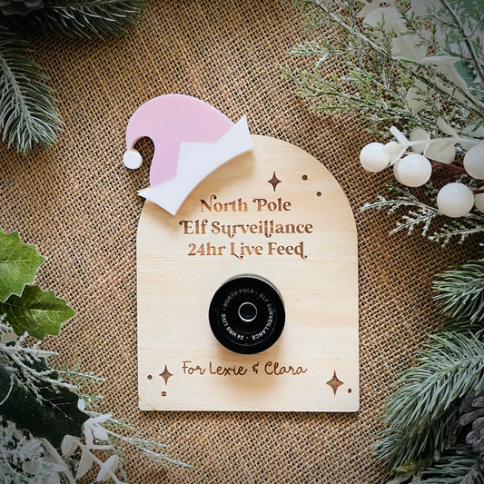 Christmas | Elf Surveillance Camera